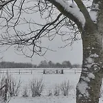 Σπίτι διακοπών Le Champ Du Coq *