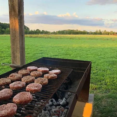 Vakantiehuis Le Champ Du Coq Gesves