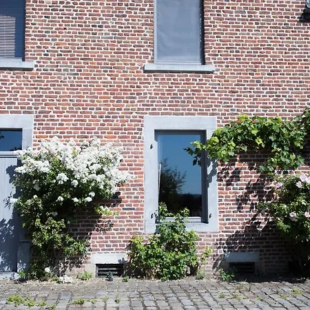 Le Champ Du Coq Gesves