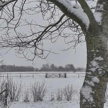 Ferienhaus Le Champ Du Coq *