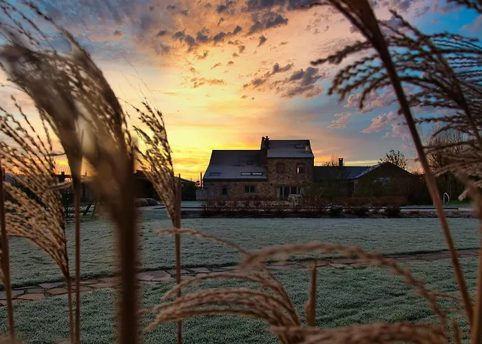 Le Champ Du Coq Ferienhaus