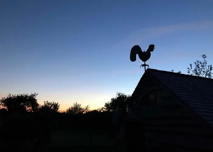 Le Champ Du Coq Ferienhaus Gesves